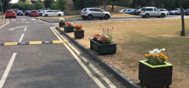 academy planters