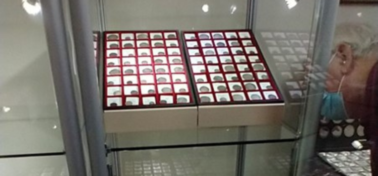 coins display