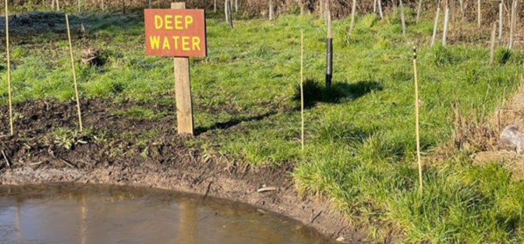 deep water warning sign by pond