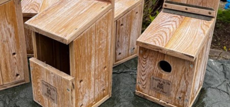 nest boxes