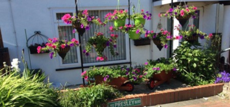 Albi's Garden and Workshop Projects