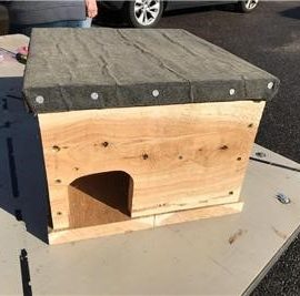 hedgehog box