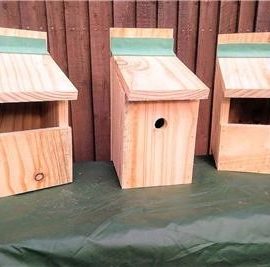 nest boxes