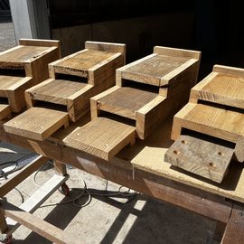 RWB Shed, Bat Boxes – 5th August 2026