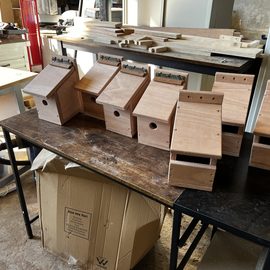 RWB Shed, Bird Boxes – February 2026